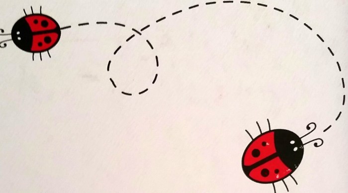 lady-bug