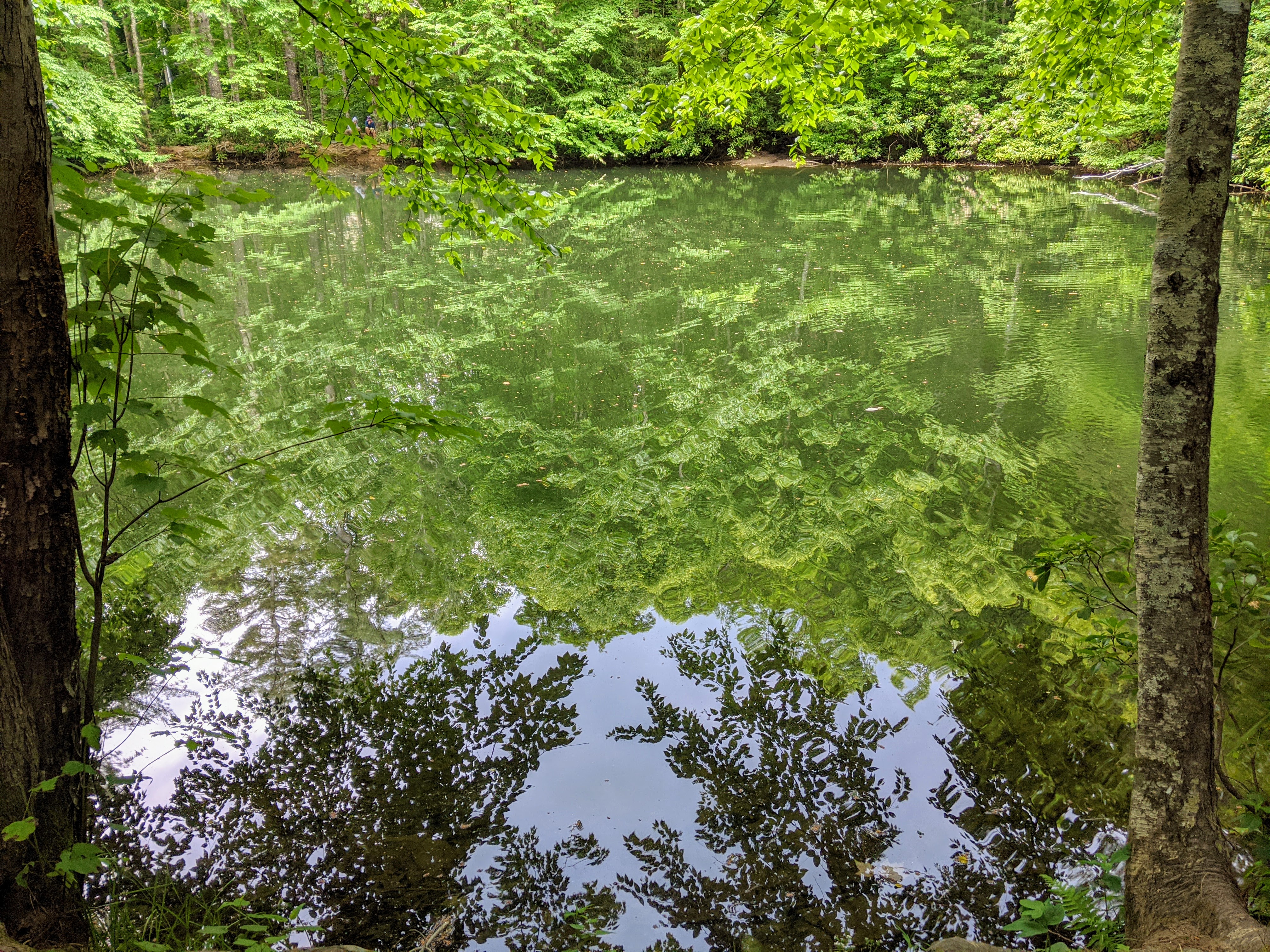 mvimg_20200613_134742